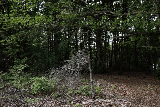 Υπερταμείο: Καταγγελία για ξεπούλημα 116 εκτάσεων του Σέιχ Σου