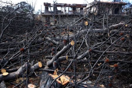 Politicians, state officials prosecuted for handling of Mati wildfire