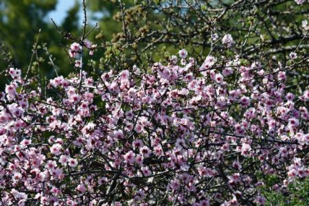 Θερμοκρασίες που ξεπέρασαν τους 20 βαθμούς έφερε ο Μάρτιος