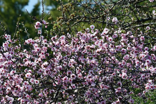 Θερμοκρασίες που ξεπέρασαν τους 20 βαθμούς έφερε ο Μάρτιος