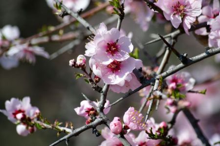 Από Μάρτη…  καλοκαίρι: Ανεβαίνει κι άλλο η θερμοκρασία