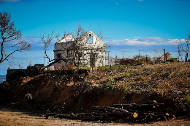 ΕΜΠ: Περιοχές της Αν. Αττκής κινδυνεύουν να γίνουν «Μάτι»