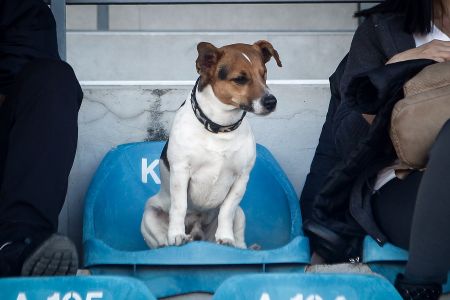 Ένας διαφορετικός… οπαδός στα Τρίκαλα
