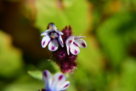 Καιρός: Σε άνοδο η θερμοκρασία – Εως 20 βαθμούς Κελσίου