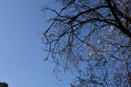 Καιρός: Λιακάδα και ζέστη