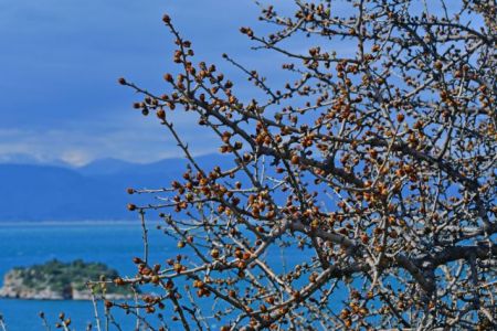 25η Μαρτίου : Τι καιρό θα κάνει το τριήμερο