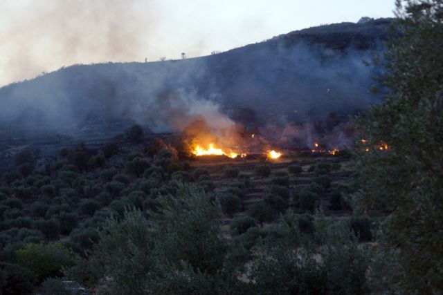 Λέσβος: Υπό πλήρη έλεγχο η φωτιά στην περιοχή Πλωμαρίου