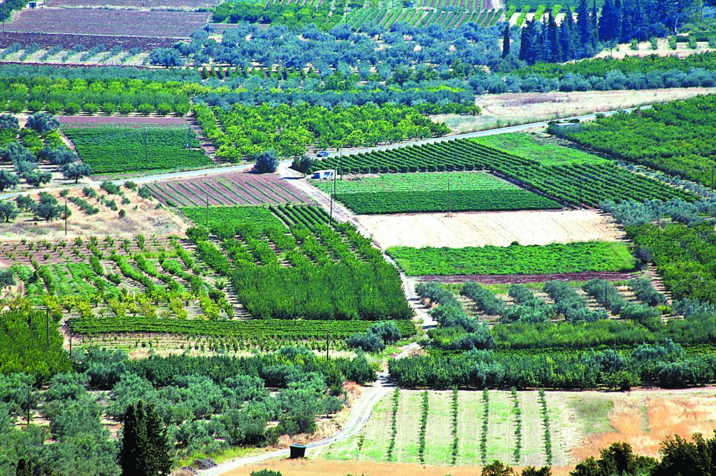 Ολιγοπωλιακές συνθήκες φρενάρουν την ανάπτυξη της ελληνικής γεωργίας