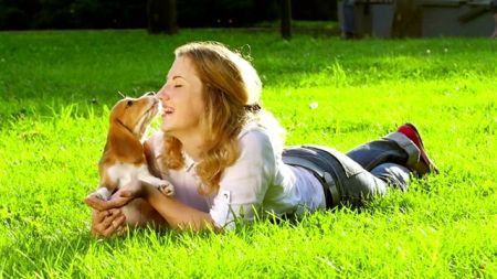 Η προσωπικότητα των σκύλων αλλάζει όπως των ανθρώπων