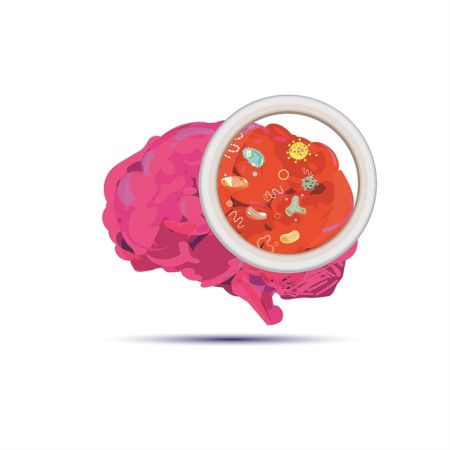 Η κατάθλιψη περνά από το… έντερο