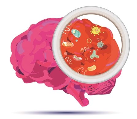 Η κατάθλιψη περνά από το… έντερο