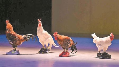 Ανθρωποι και ζώα