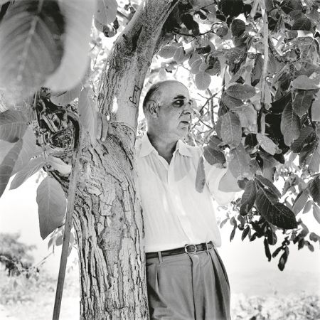 Ο Σεφέρης και τα Λατινικά ή dum spiro spero!