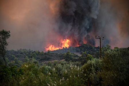 Καίγεται το δάσος της Στροφυλιάς στην Ηλεία
