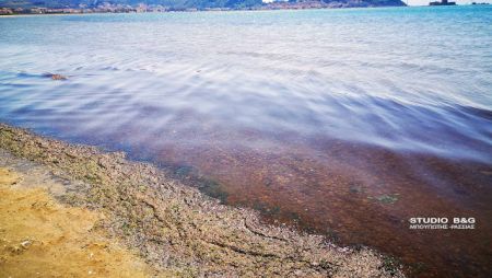 Ναύπλιο: Κοκκίνησε η θάλασσα [Εικόνες]