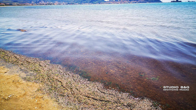 Ναύπλιο: Κοκκίνησε η θάλασσα [Εικόνες]