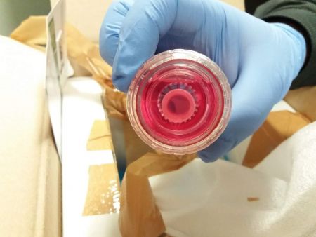 STOP σε εμπόριο οργάνων από τελωνειακούς στο «Μακεδονία» [εικόνες]