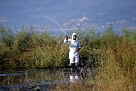 Κεντρική Μακεδονία: Σχέδιο εξόντωσης κουνουπιών την επόμενη εβδομάδα