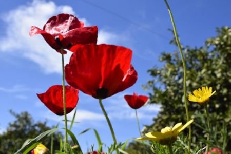 Καιρός: Ηλιόλουστη η Μεγάλη Εβδομάδα