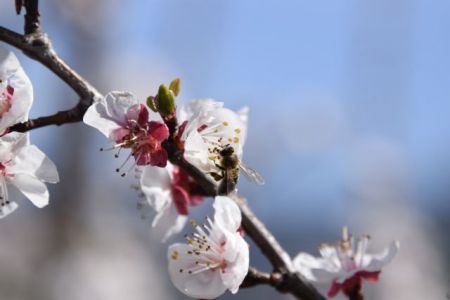 Καιρός: Οι προβλέψεις για τη Μεγάλη Εβδομάδα