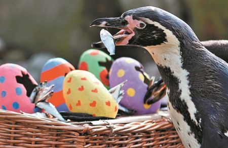 Το επταήμερο του Διόδωρου