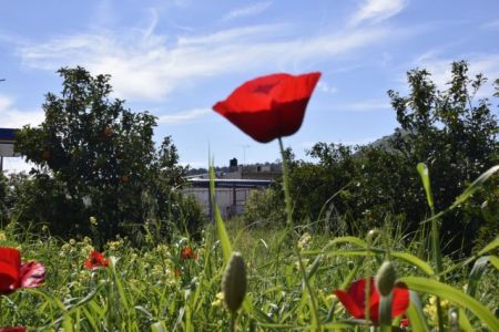 Τι καιρό θα κάνει Μ. Παρασκευή, Ανάσταση και Πάσχα