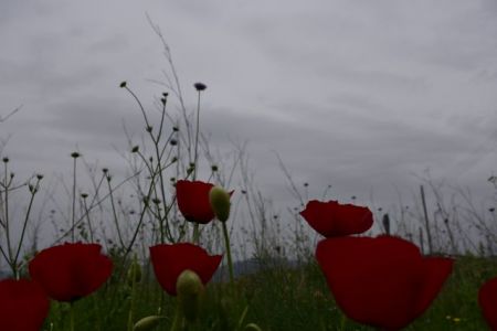 Καιρός: «Πνίγει» η αφρικανική σκόνη – Δείτε που θα βρέξει