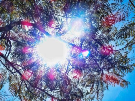 Καιρός: Mε λιακάδα το ψήσιμο του οβελία