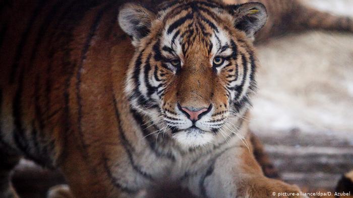 Παρίσι: Σύνοδος για την προστασία της βιοποικιλότητας