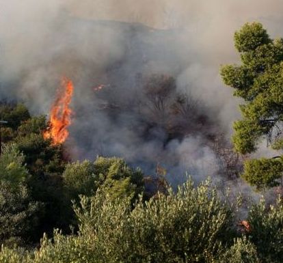 Χαλκιδική: Πυρκαγιά σε εξέλιξη στη Μεταμόρφωση