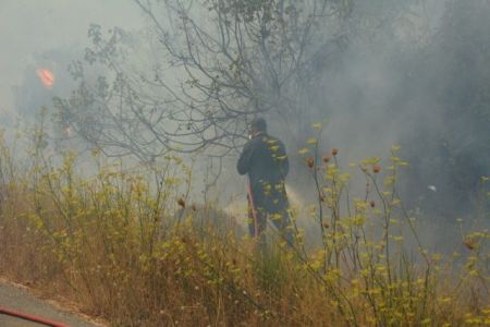 Υπό έλεγχο η φωτιά στη Μεταμόρφωση Χαλκιδικής