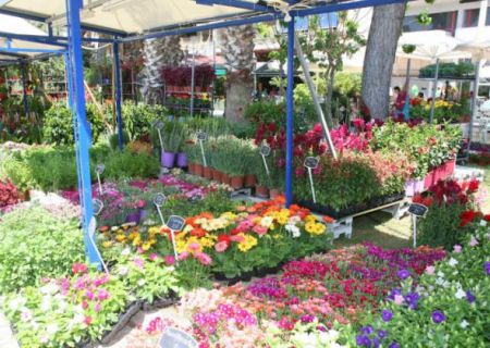 Την Κυριακή τα εγκαίνια της 9ης Ανθοκομικής Έκθεσης Πειραιά