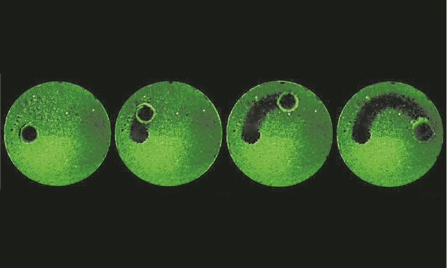 Μίνι ρομπότ κατά της οδοντικής πλάκας