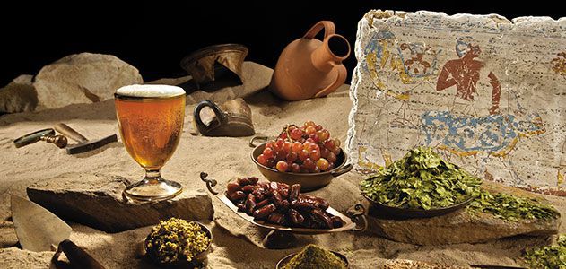 Μπίρα των Φαραώ: Αναβίωση με μαγιά ηλικίας 3.000 ετών