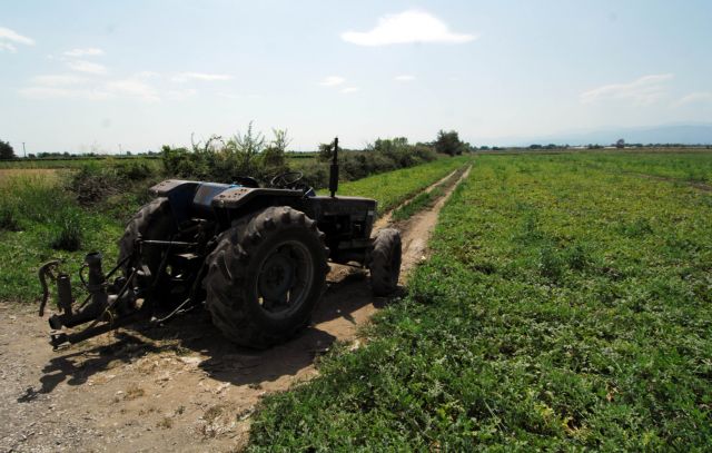 Βιολογική γεωργία: Εγκρίθηκαν 6.330 οι αιτήσεις