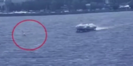 Η στιγμή που 18χρονος σέρφερ βρίσκει τραγικό θάνατο – Συγκρούστηκε με ιπτάμενο δελφίνι