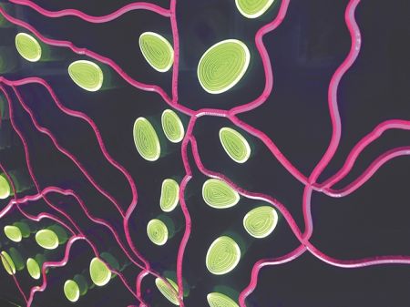 Κυτταρικός «γάμος» τέχνης και επιστήμης