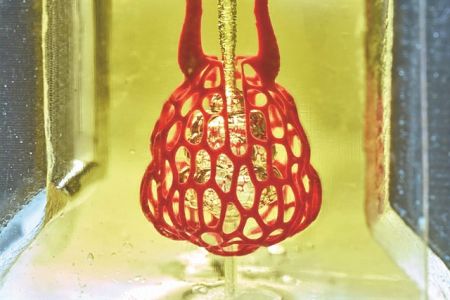 Τυπωμένος πνεύμονας που αναπνέει