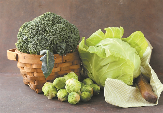 Αντικαρκινικό από τη φύση