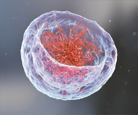 «Κατάδυση» στο γονιδίωμα