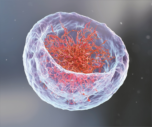 «Κατάδυση» στο γονιδίωμα