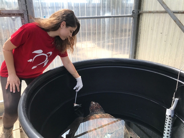 Μια ιστορία «θαλάσσιας» αγάπης στη Γλυφάδα