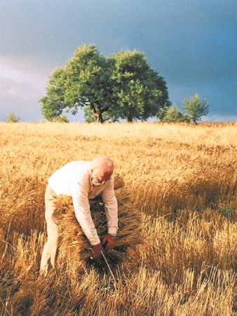 Μοιράζουν και αγρούς έως 30 στρεμμάτων για καλλιέργειες