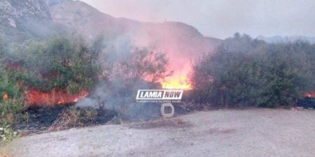 Συναγερμός στις Θερμοπύλες – Πυρκαγιά κοντά σε hot spot (εικόνες)