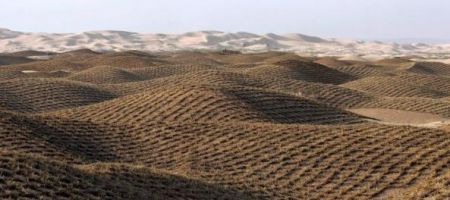 Κίνδυνος για ερημοποίηση του 1/3 των εδαφών της Ελλάδας