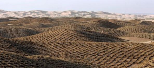 Κίνδυνος για ερημοποίηση του 1/3 των εδαφών της Ελλάδας