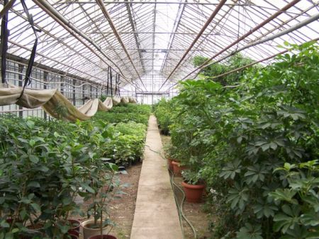 Το πολύχρωμο μυστικό του Γεωπονικού Πανεπιστημίου