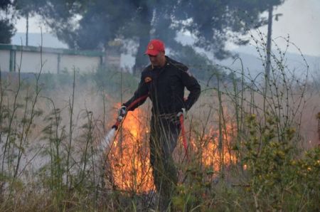 Νεκρός στον Αυλώνα μετά από φωτιά σε αγροτοδασική έκταση