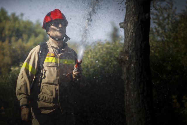 Συνελήφθη 76χρονος για τη φωτιά στο Λαγονήσι