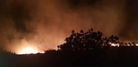 Υπό έλεγχο τέθηκε η πυρκαγιά στην Κάρυστο – Εκκενώθηκαν σπίτια